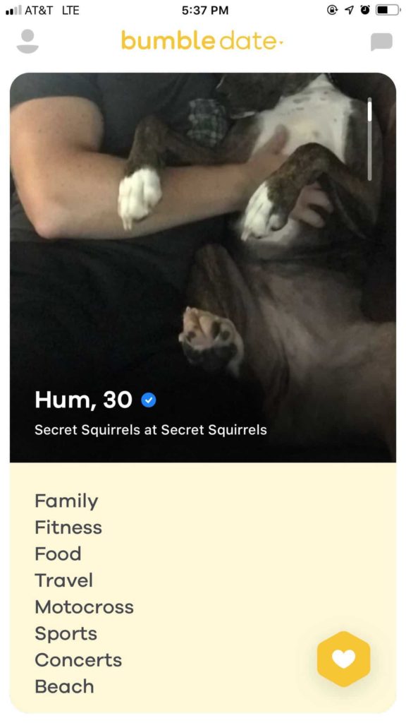 bumble bio example
