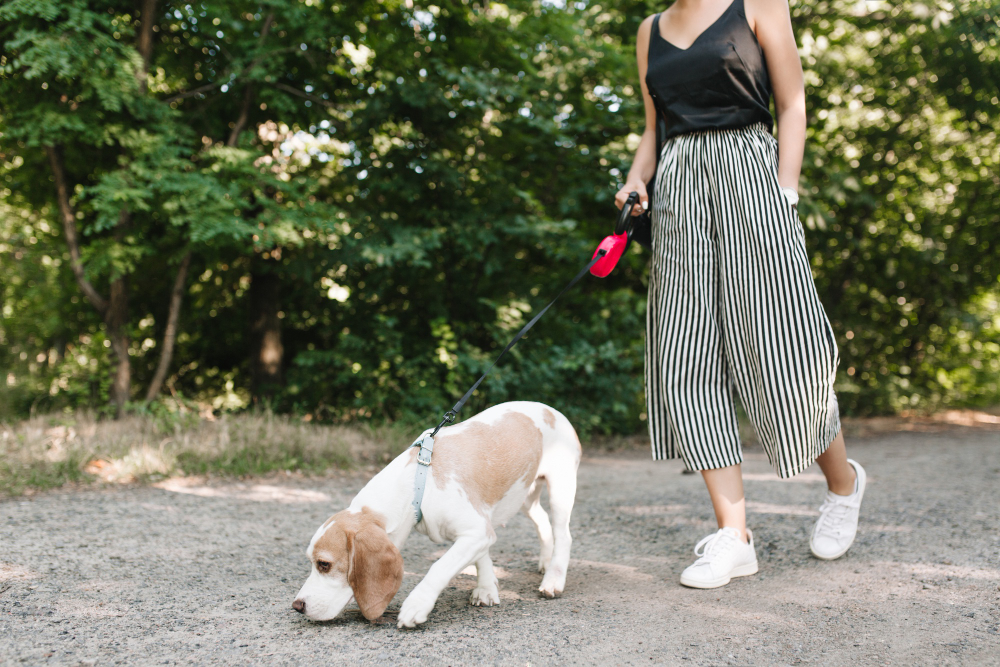 milf walking dog in Neighbourhoods 